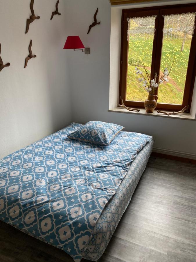 Appartement Au Nid Des Pies à Soultzeren Extérieur photo